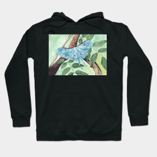 Blue butterfly Hoodie